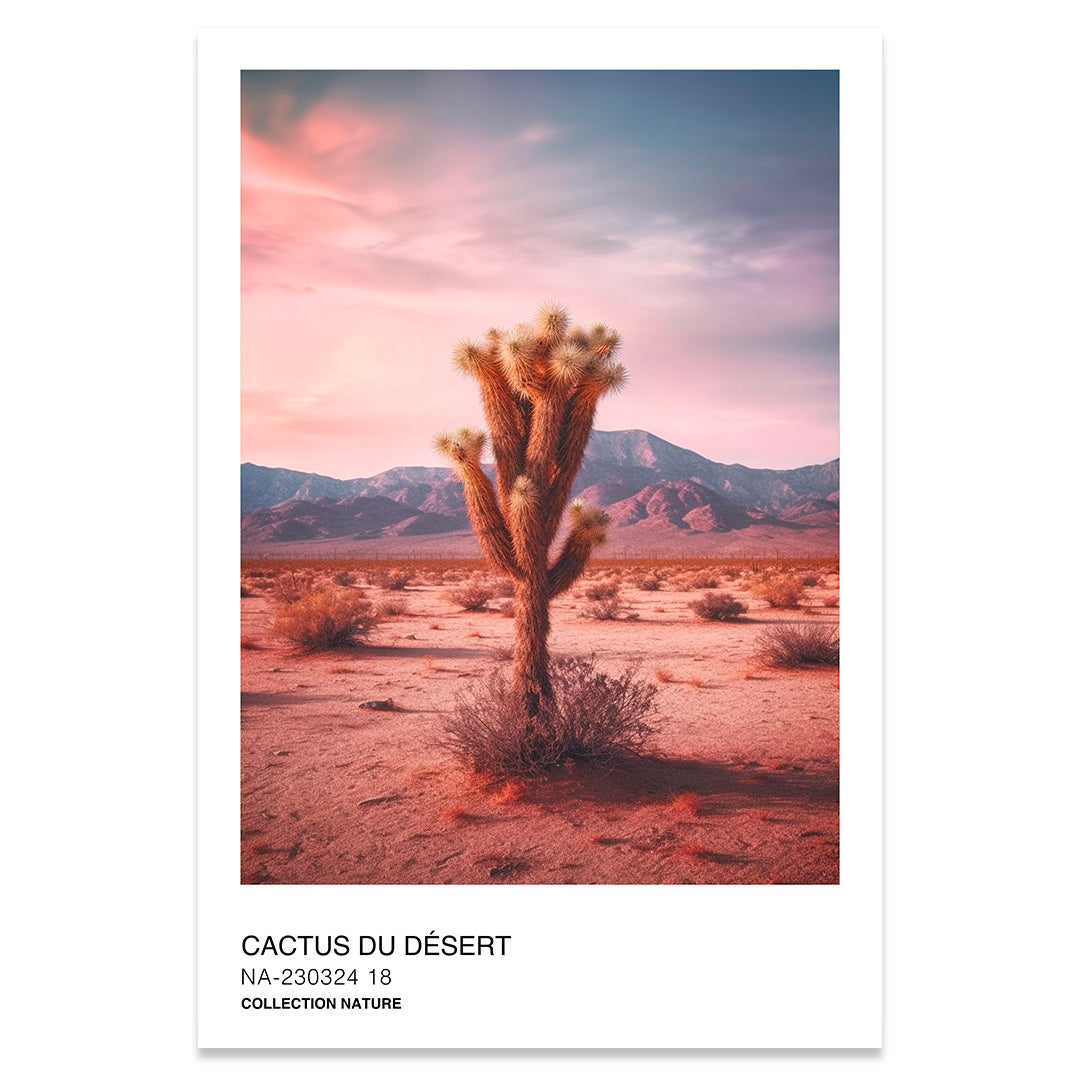 Cactus du désert