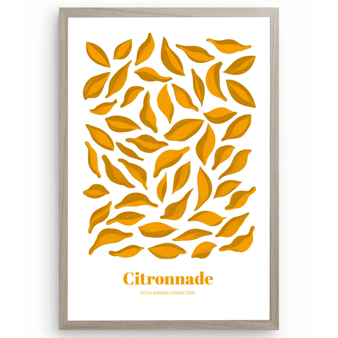 Citronnade affiche