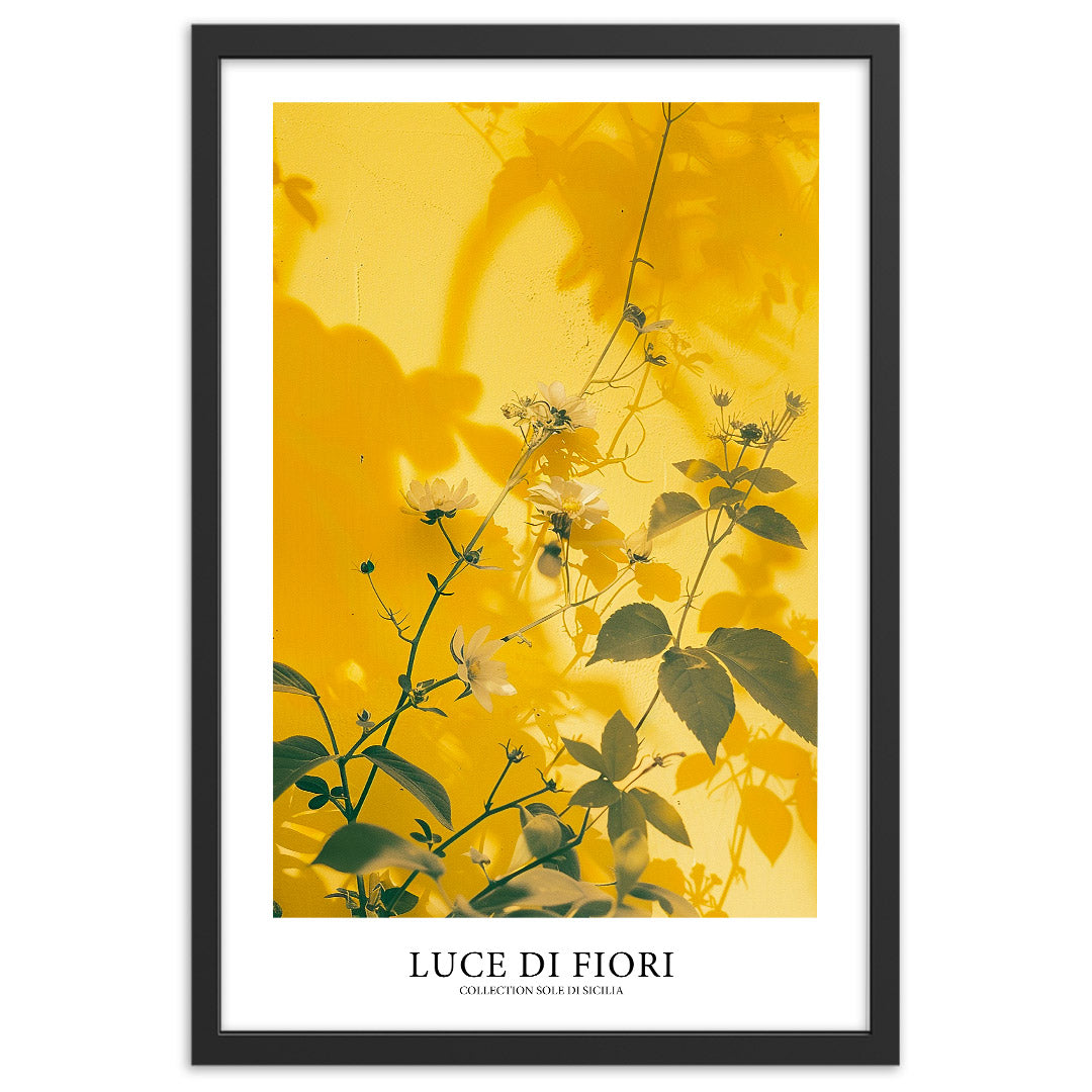 Luce di fiori affiche