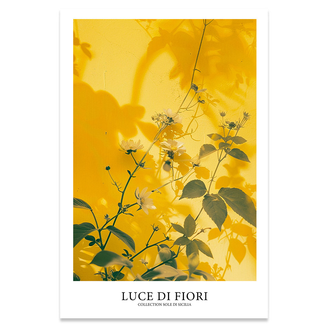 Luce di fiori affiche