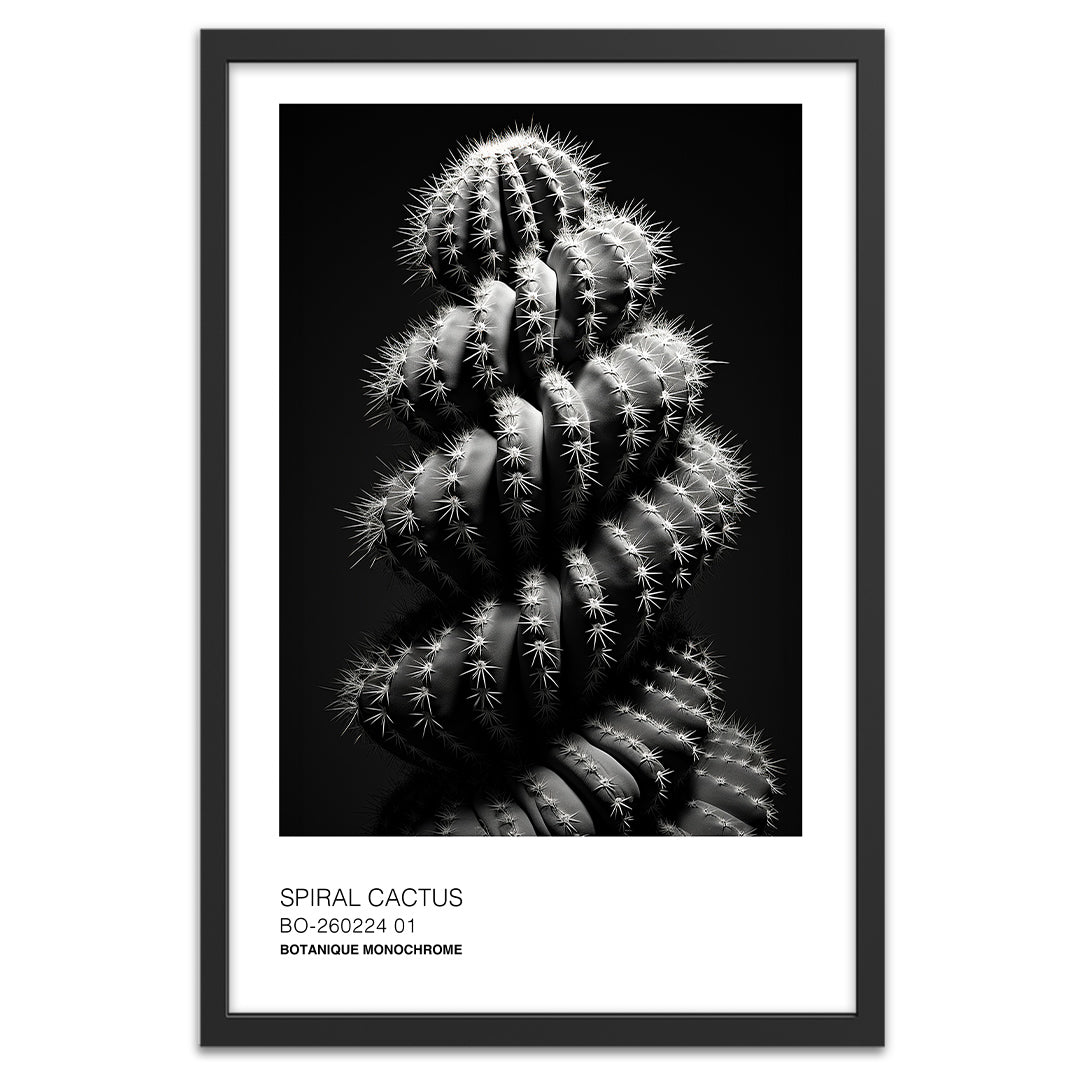 Spiral cactus