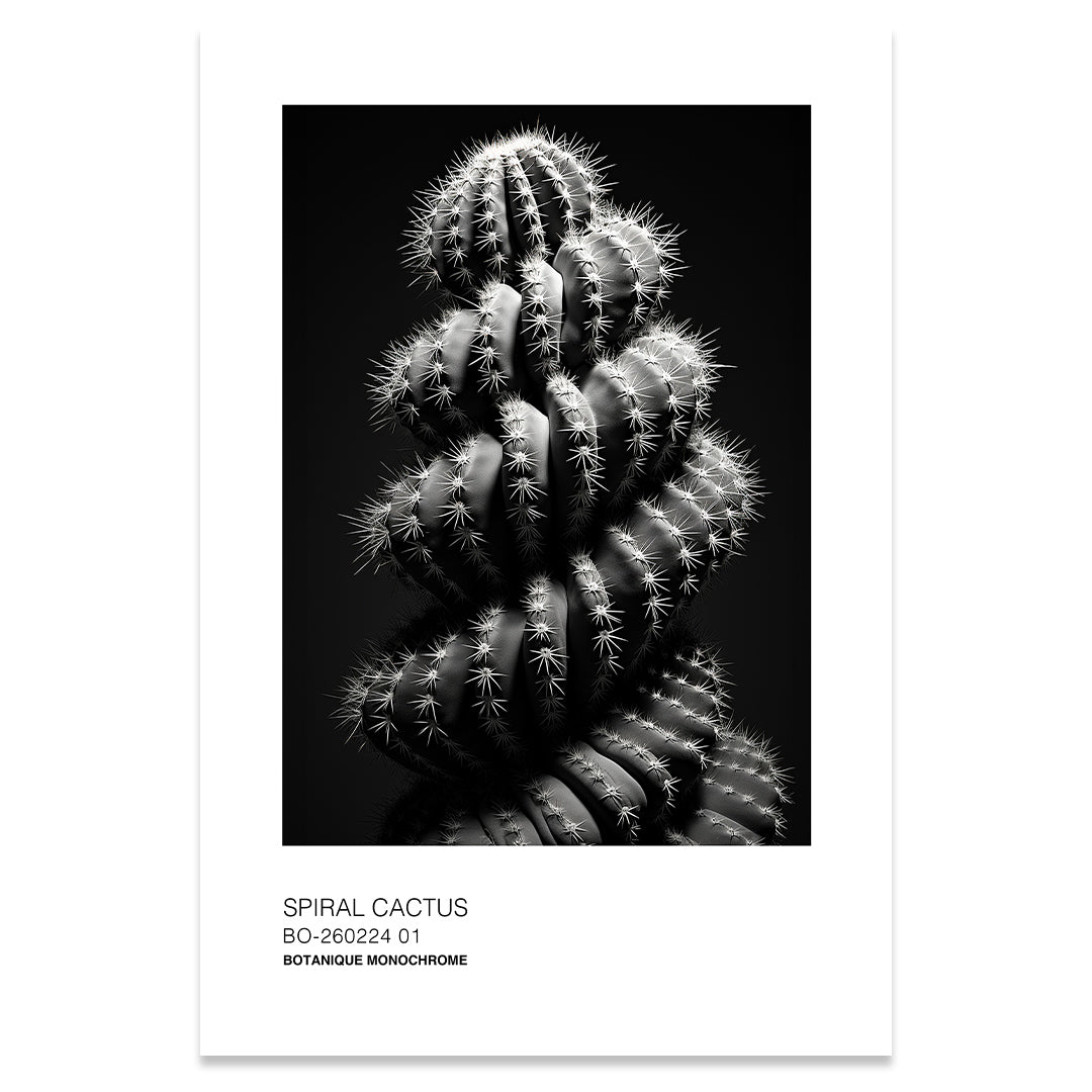 Spiral cactus