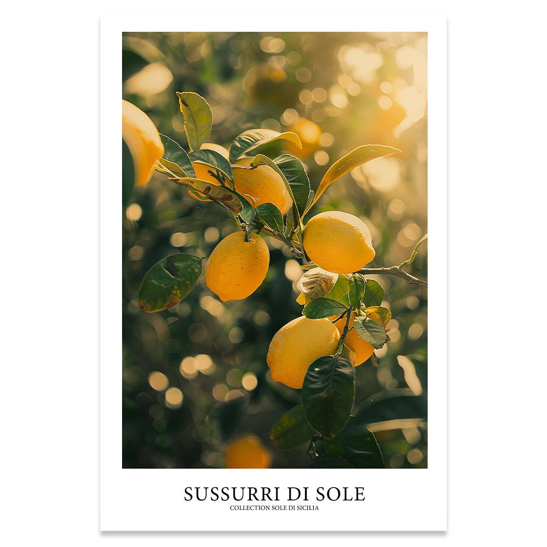 Sussurri di sole affiche